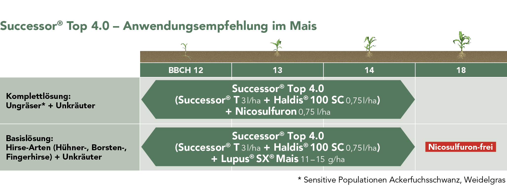 Successor® Top 4.0 Anwendungsempfehlung