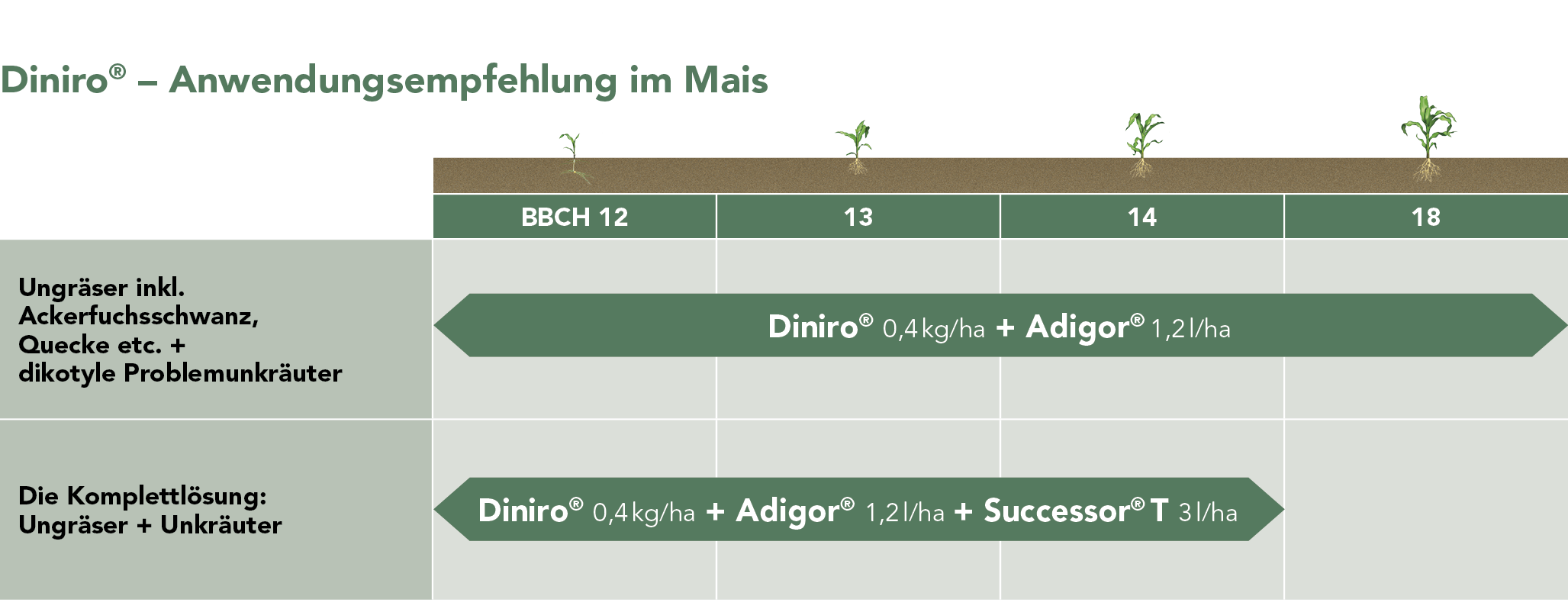 Diniro® Anwendungsempfehlung