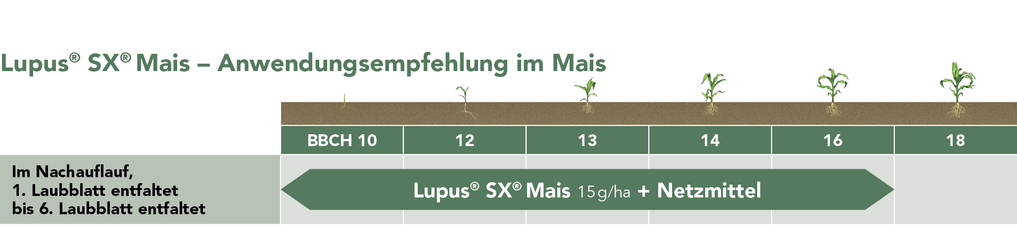 Lupus® SX® Mais Anwendungsempfehlung