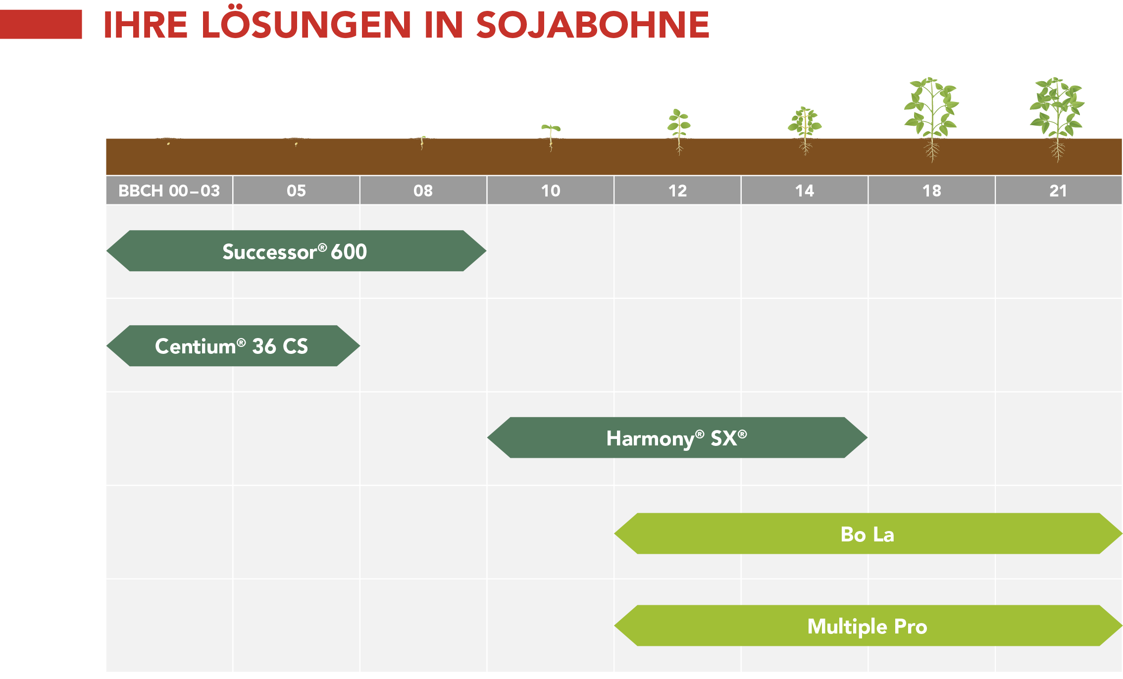 IHRE LÖSUNGEN IN SOJABOHNE