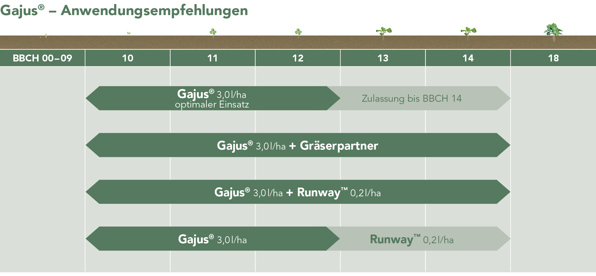 Gajus® Anwendungsempfehlung