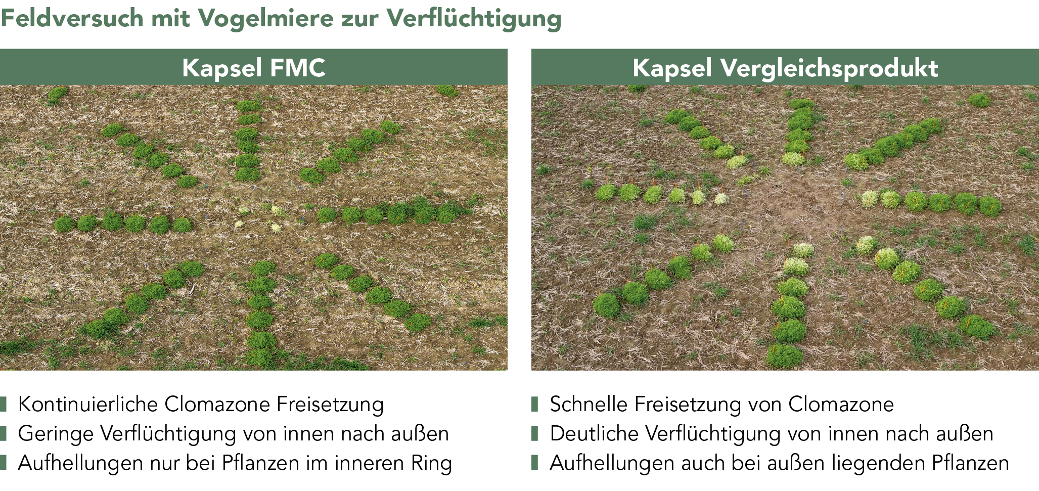 Gamit® 36 AMT Versuche