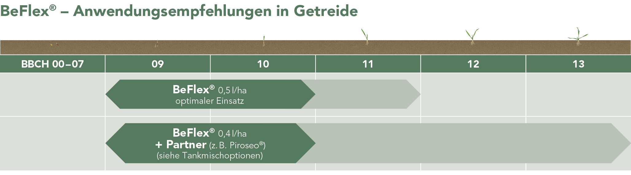 BeFlex® Anwendungsempfehlung