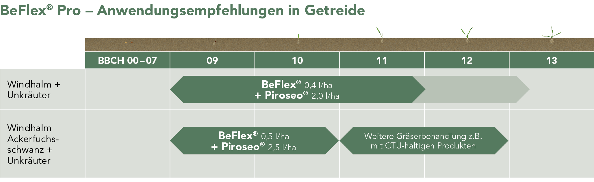 BeFlex® Pro Anwendungsempfehlung