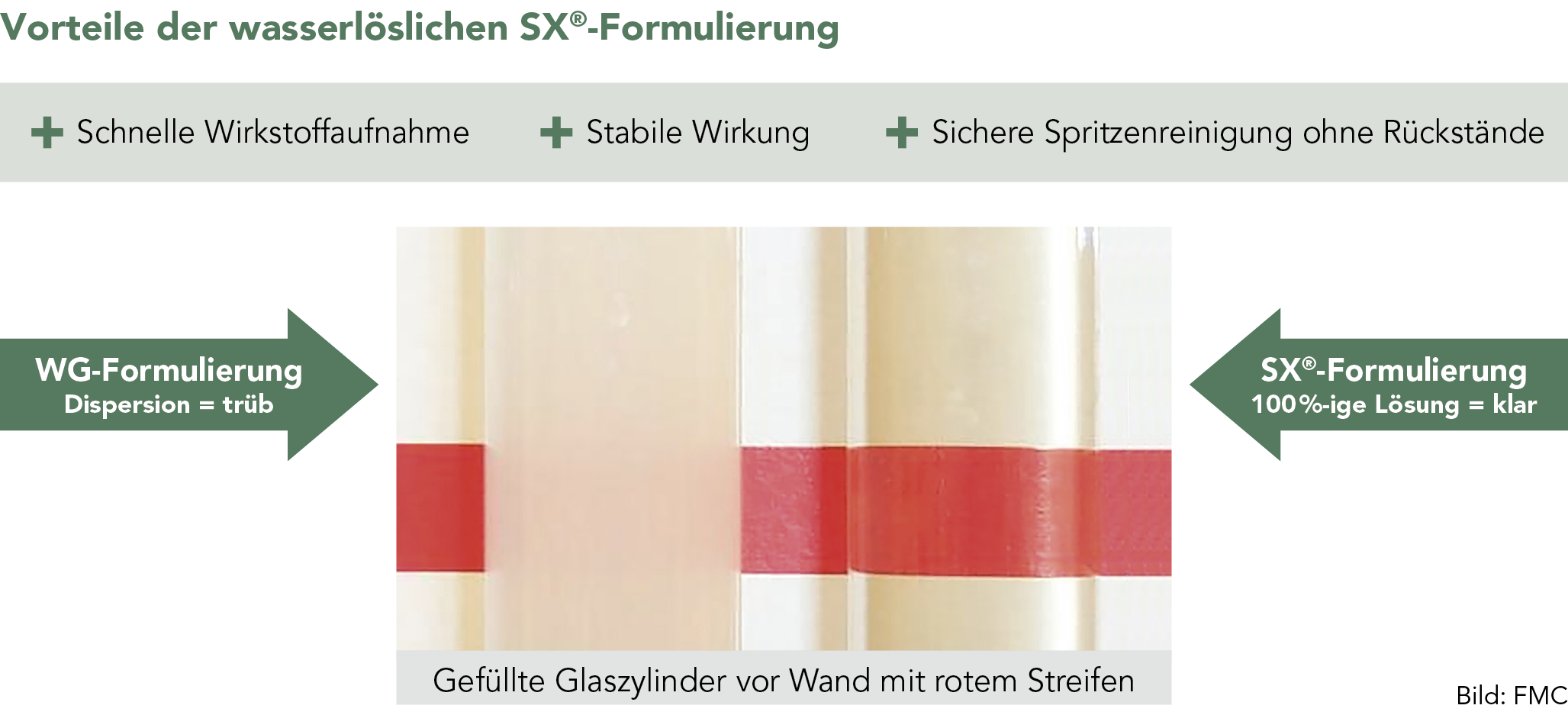 Pointer® SX Formulierung