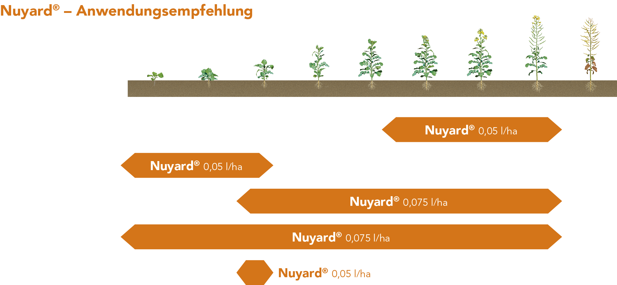 Nuyard® – Anwendungsempfehlung