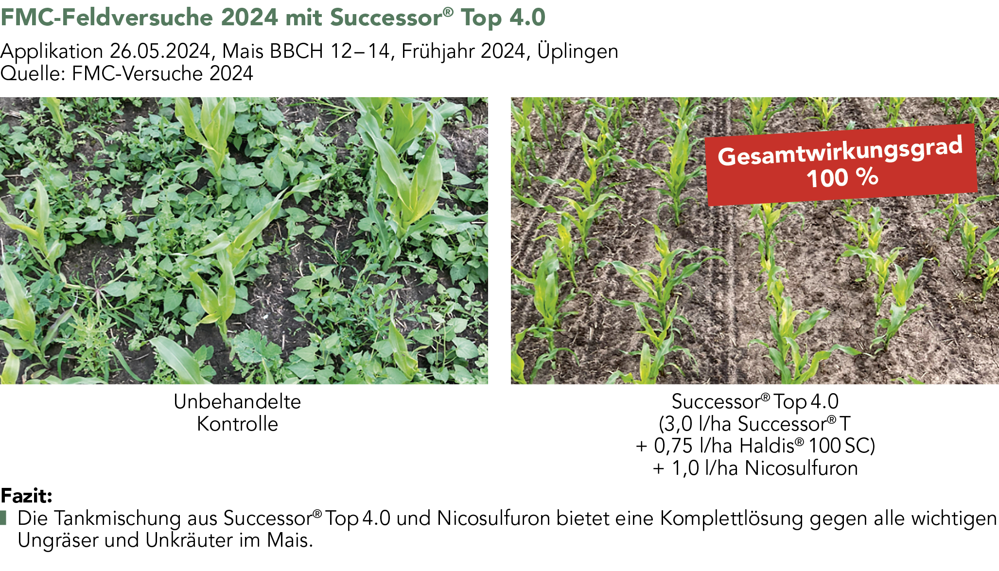 Successor® Top 4.0 Unkräuter