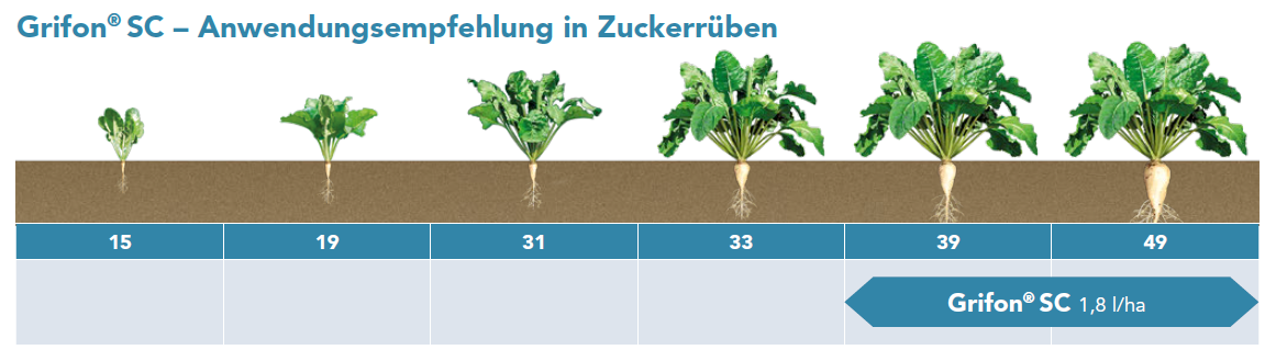 Grifon® SC - Anwendungsempfehlung Rüben