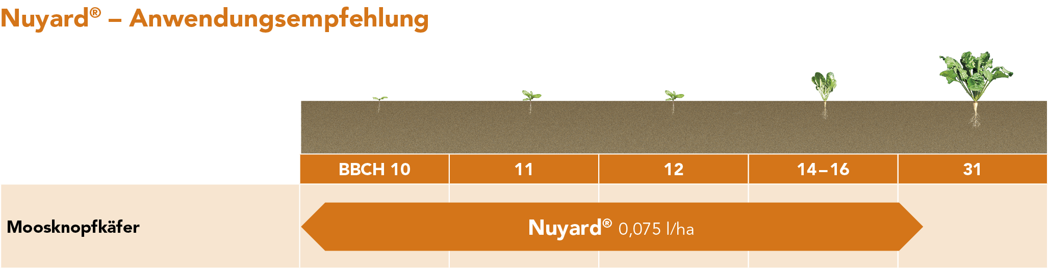 Nuyard® – Anwendungsempfehlung