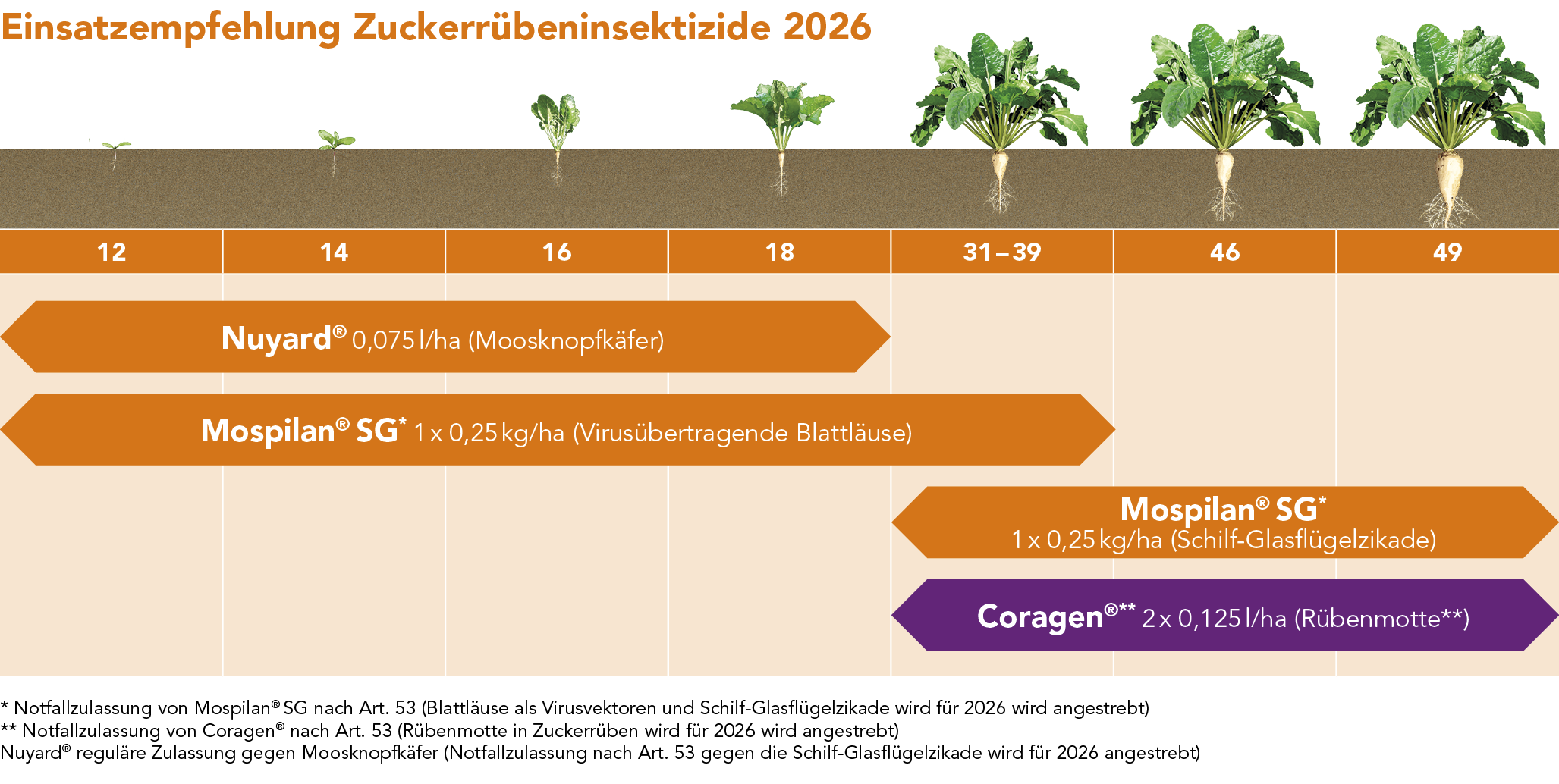 Nuyard® – Anwendungsempfehlung