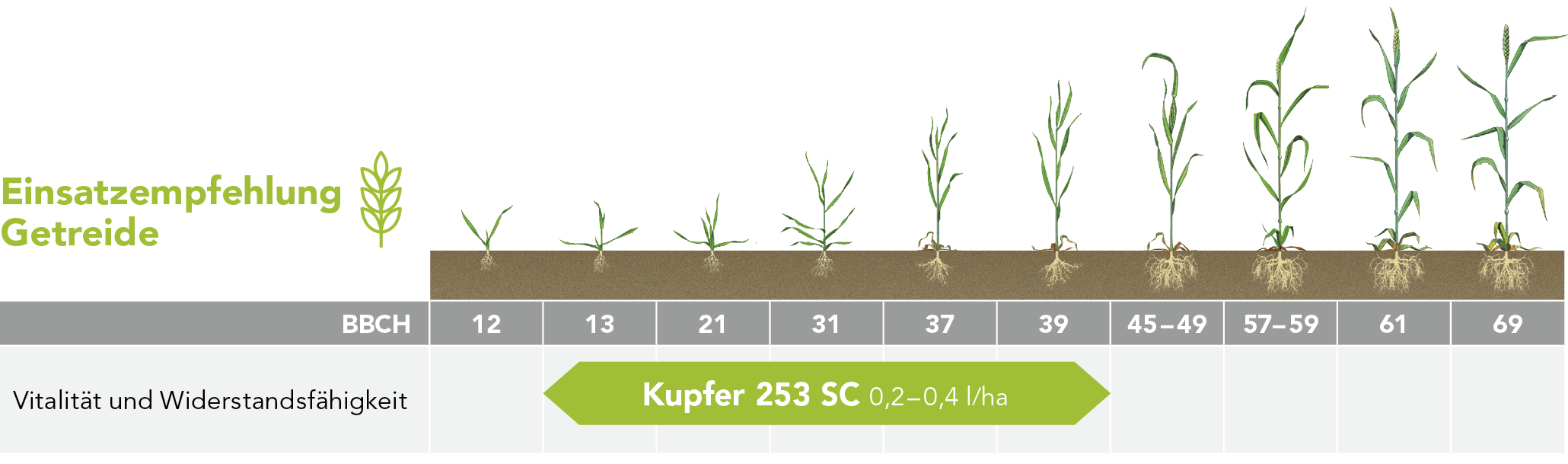 Kupfer 253 SC Markenblattdünger