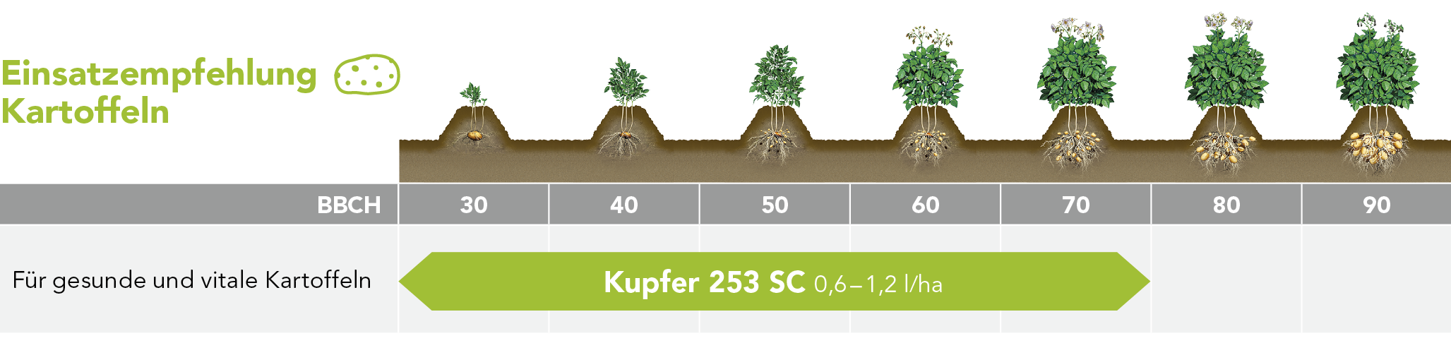 Kupfer 253 SC Markenblattdünger