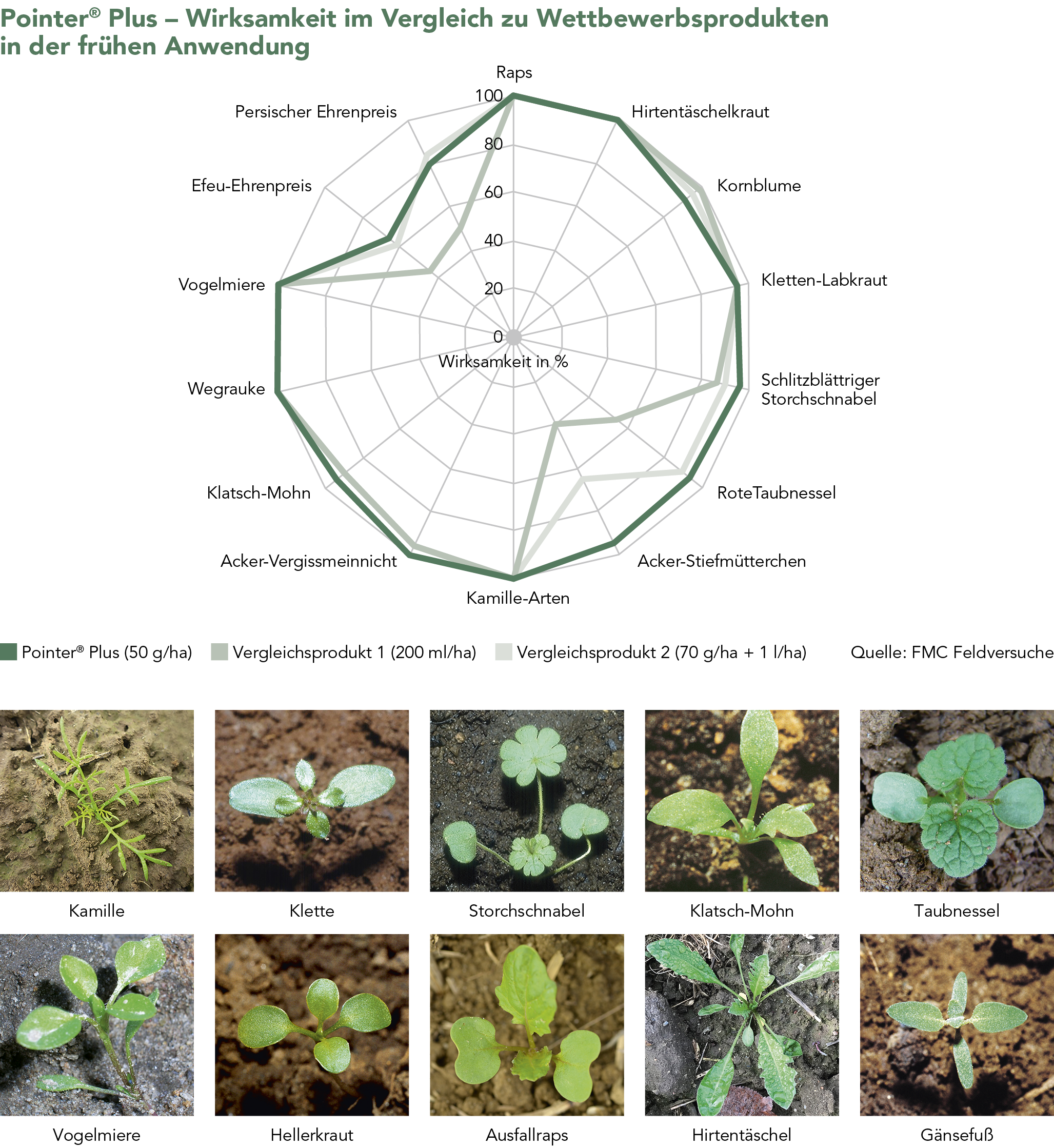 Pointer® Plus – Wirksamkeit im Vergleich zu Wettbewerbsprodukten in der frühen Anwendung