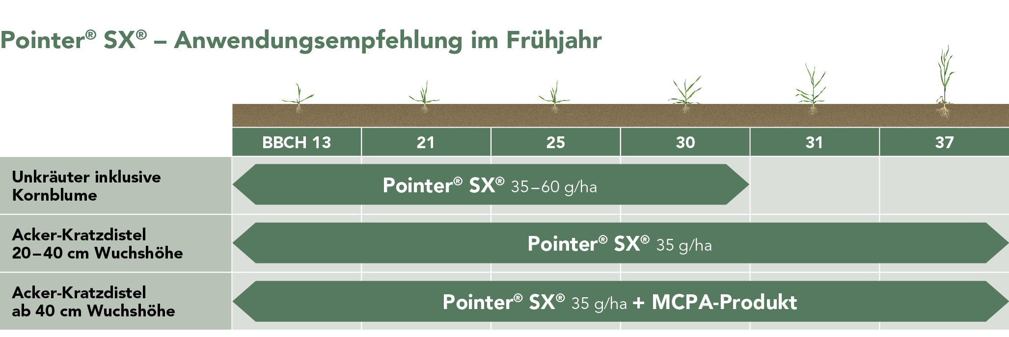 Pointer® SX® – Anwendungsempfehlung im Frühjahr