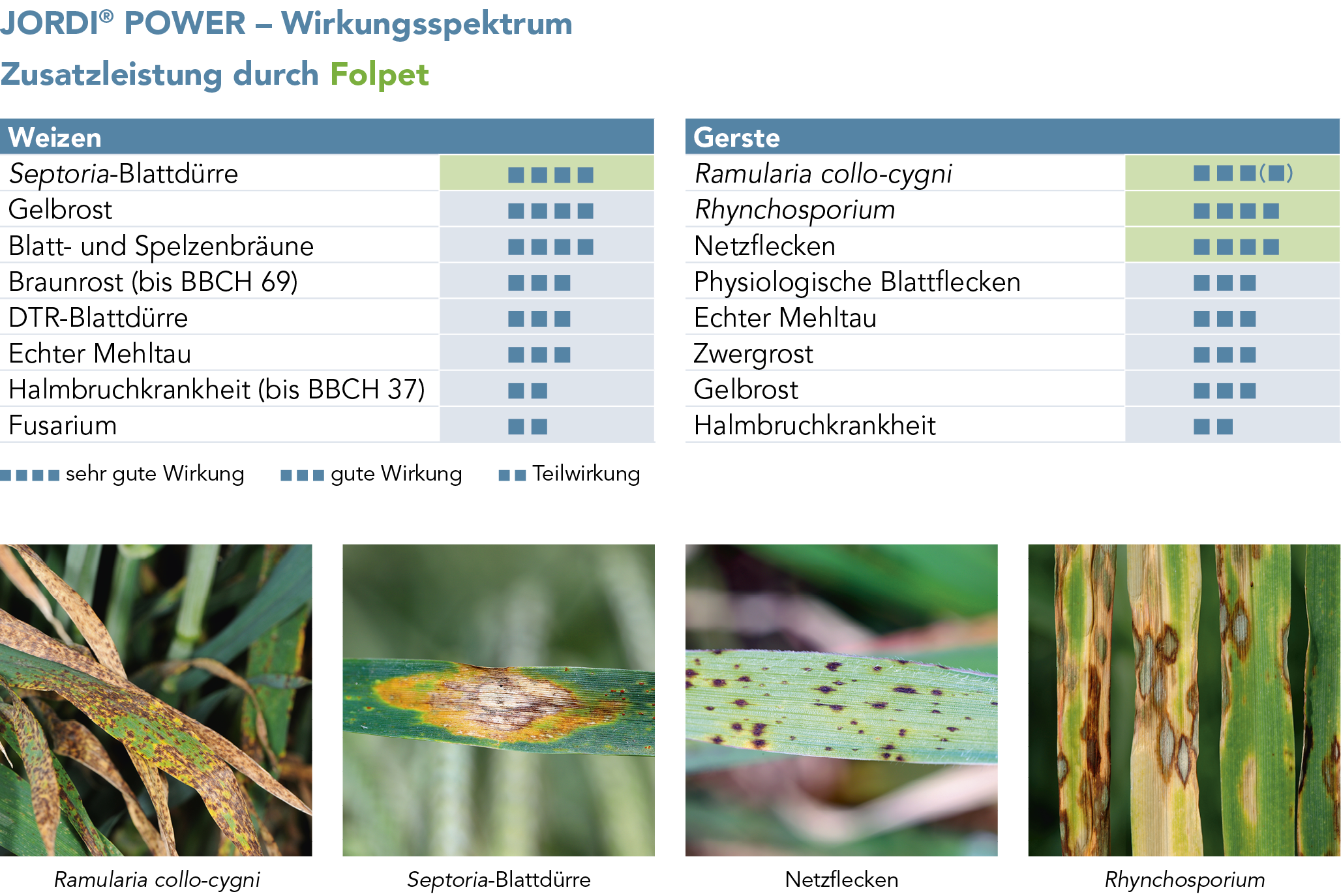 JORDI® POWER – Wirkungsspektrum