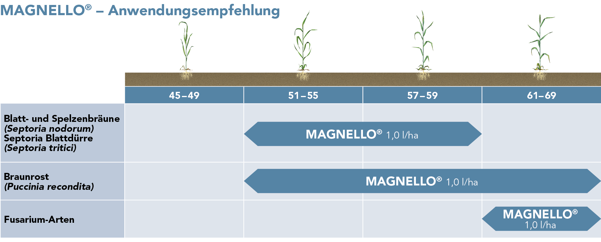 Magnello® Anwendungsempfehlung