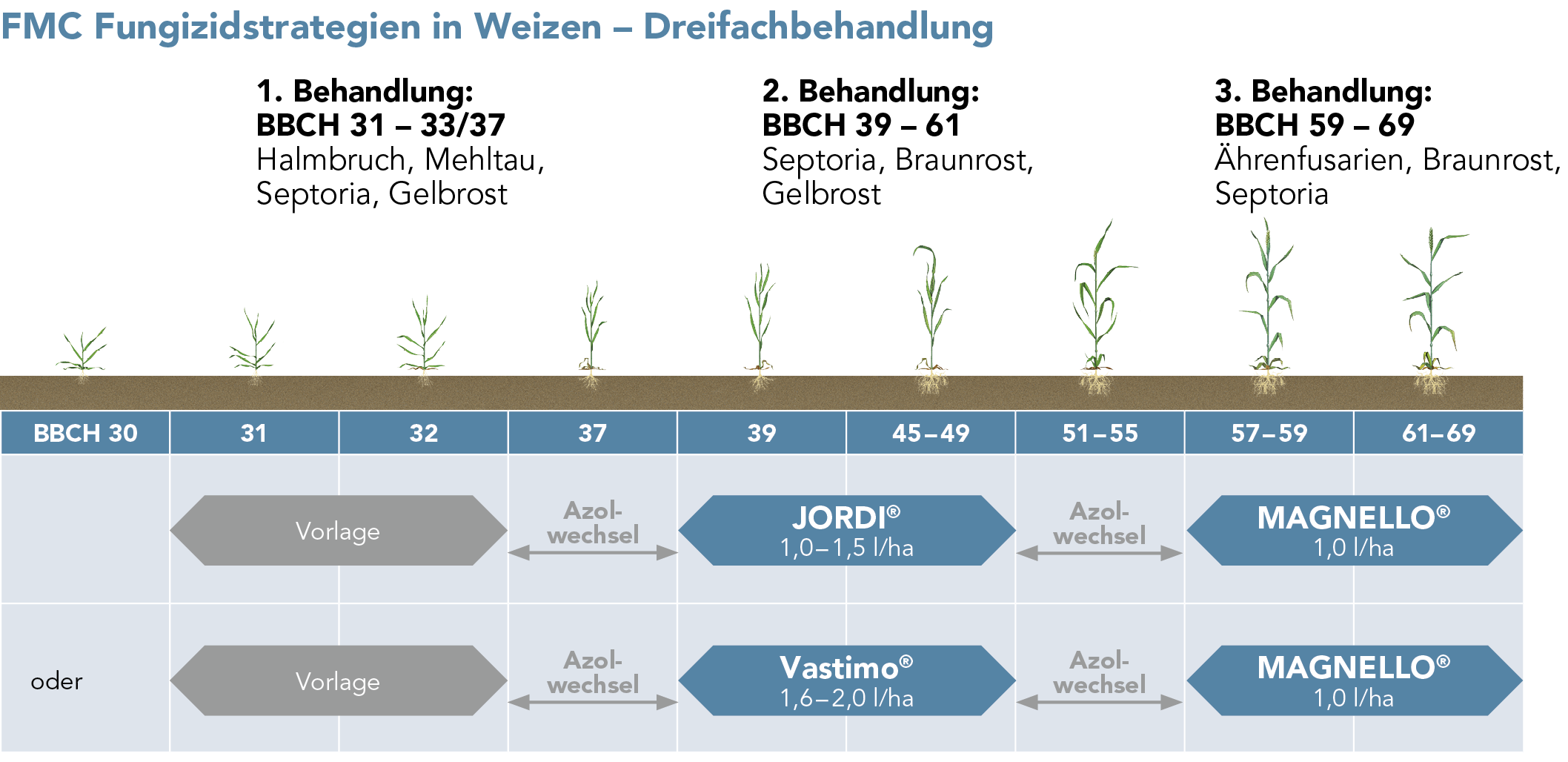 RESISTENZMANAGEMENT MIT DEN FMC-GETREIDEFUNGIZIDEN