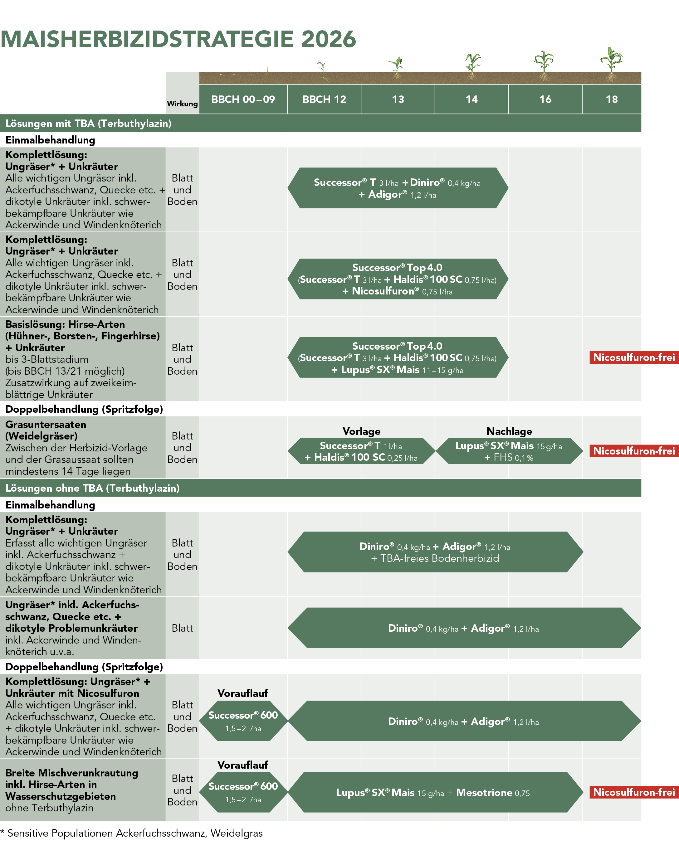 Botanik Grundlagen - Gartenbau Graf, image size:2176x2696