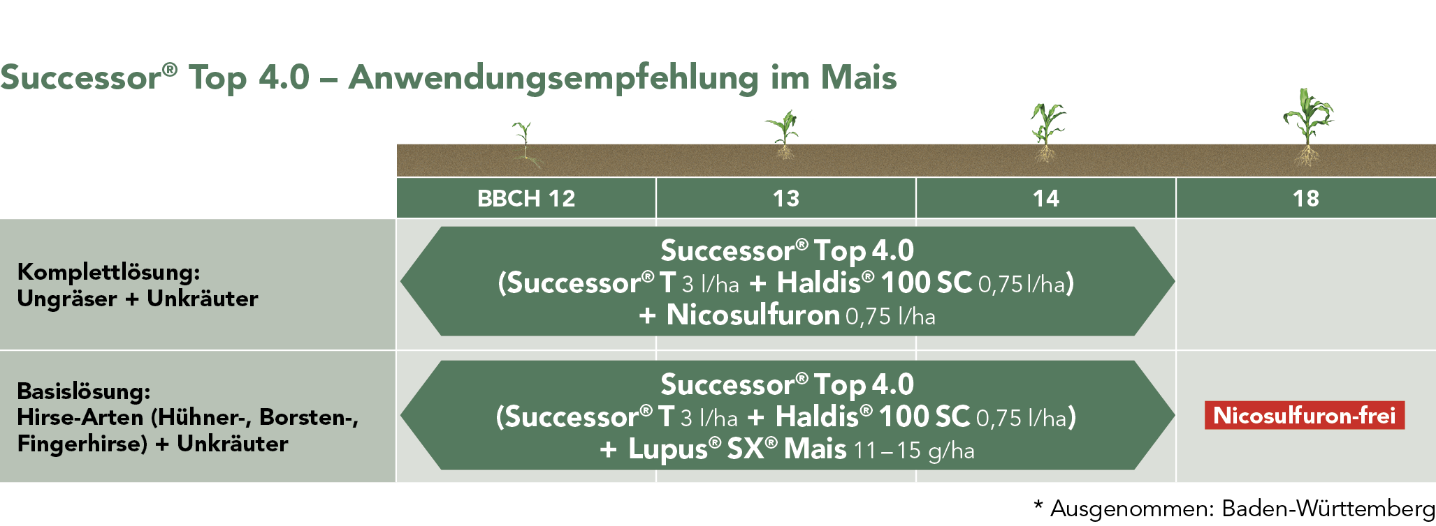 Successor® Top 4.0 - Anwendungsempfehlung