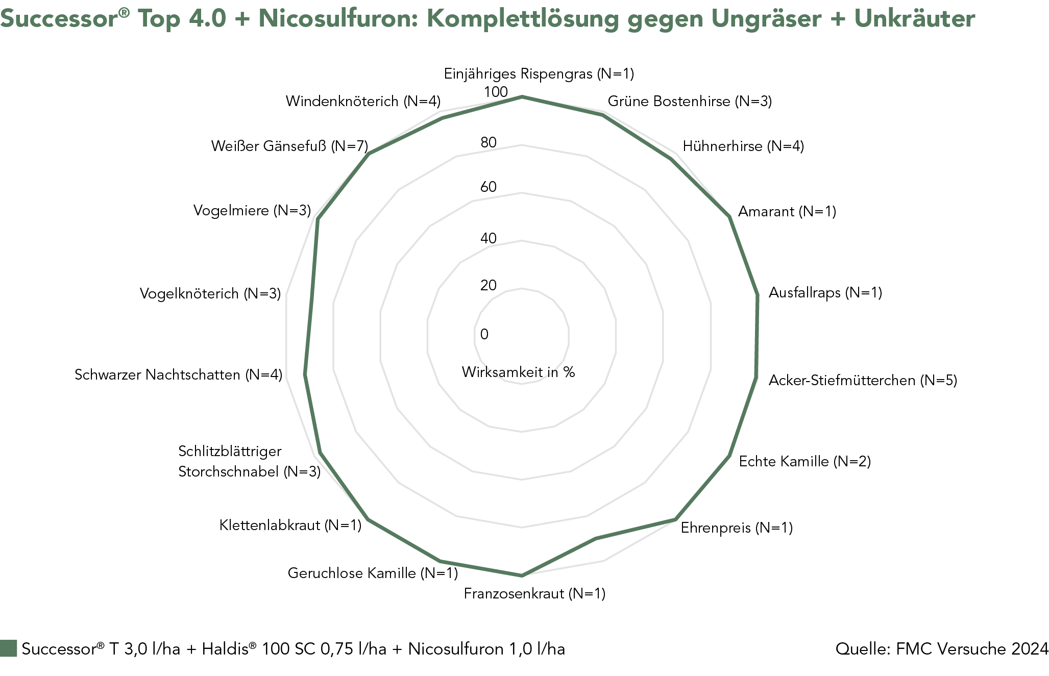 Successor® Top 4.0 + Nicosulfuron: Komplettlösung gegen Ungräser + Unkräuter
