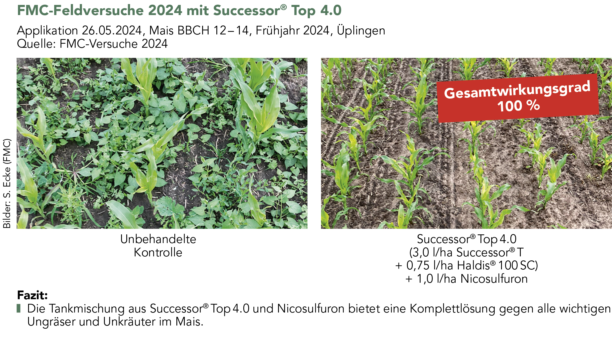 FMC-Feldversuche 2024 mit Successor® Top 4.0