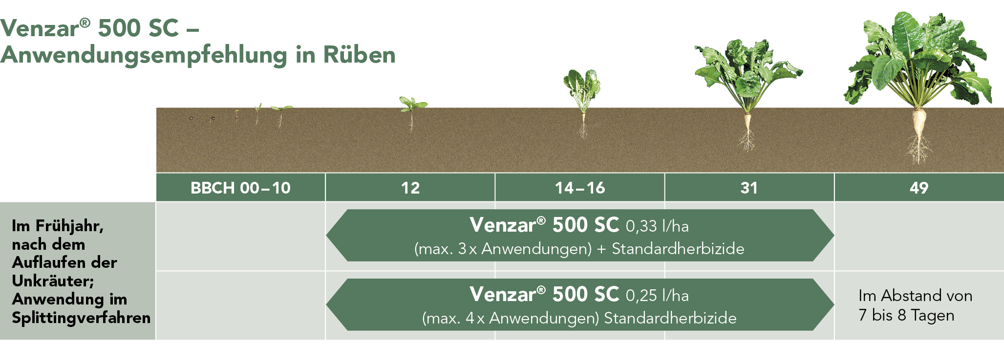 Venzar® 500 SC – Wirkung
