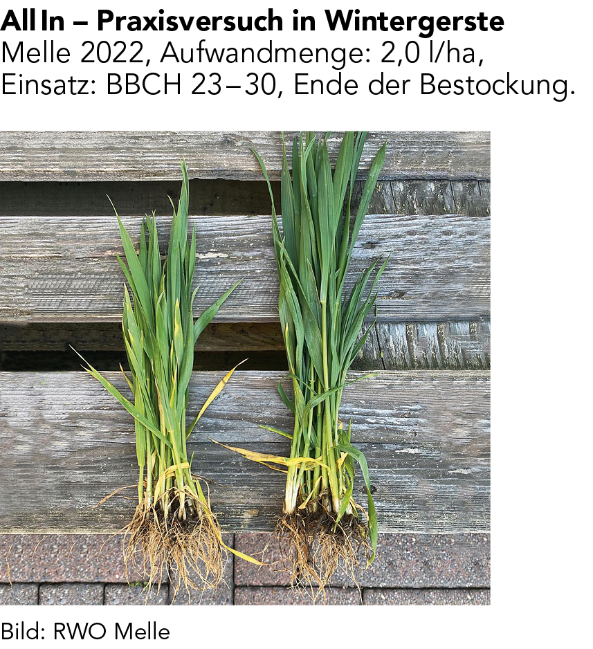 All In Markenblattdünger