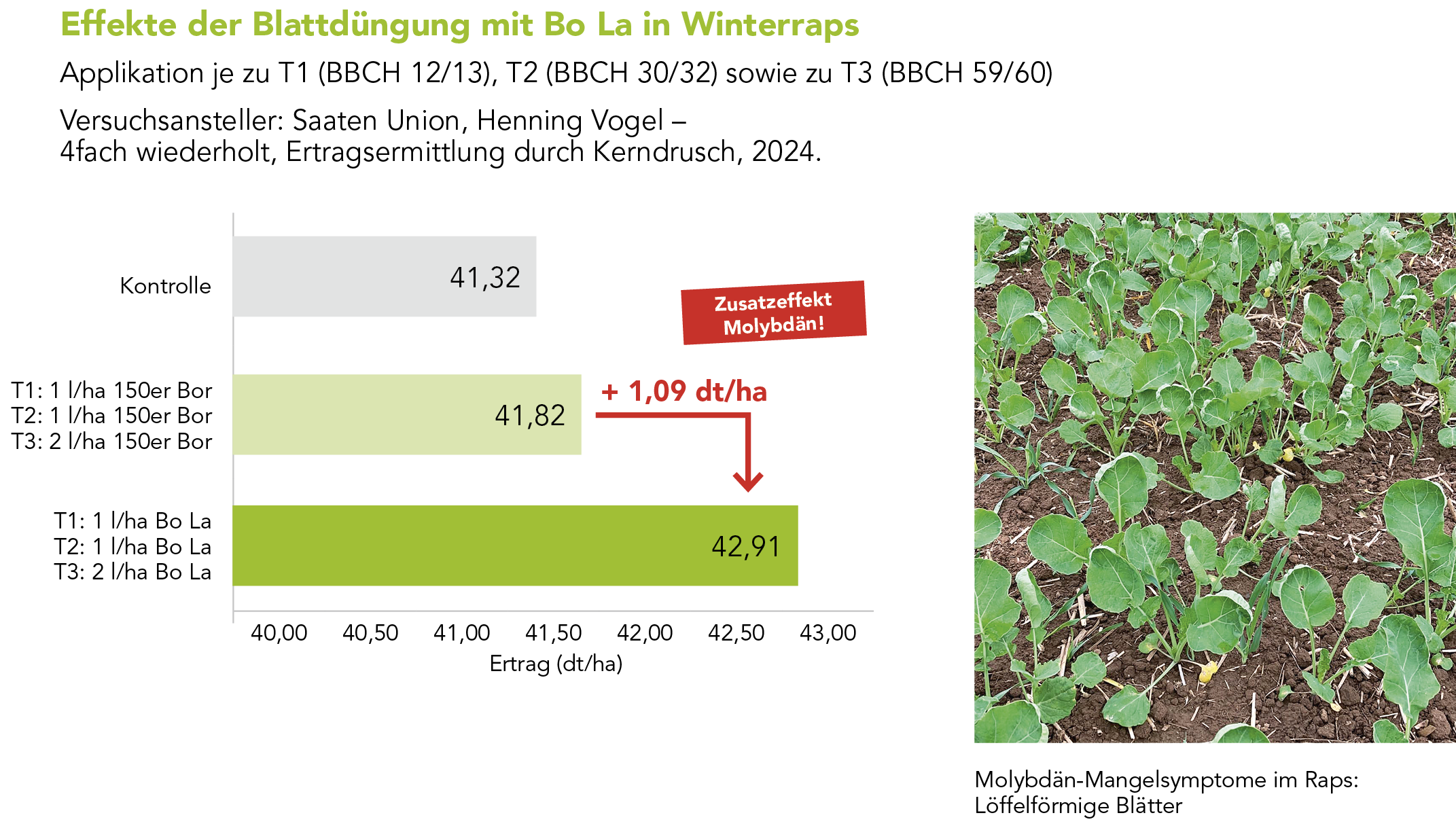 Bo La Markenblattdünger