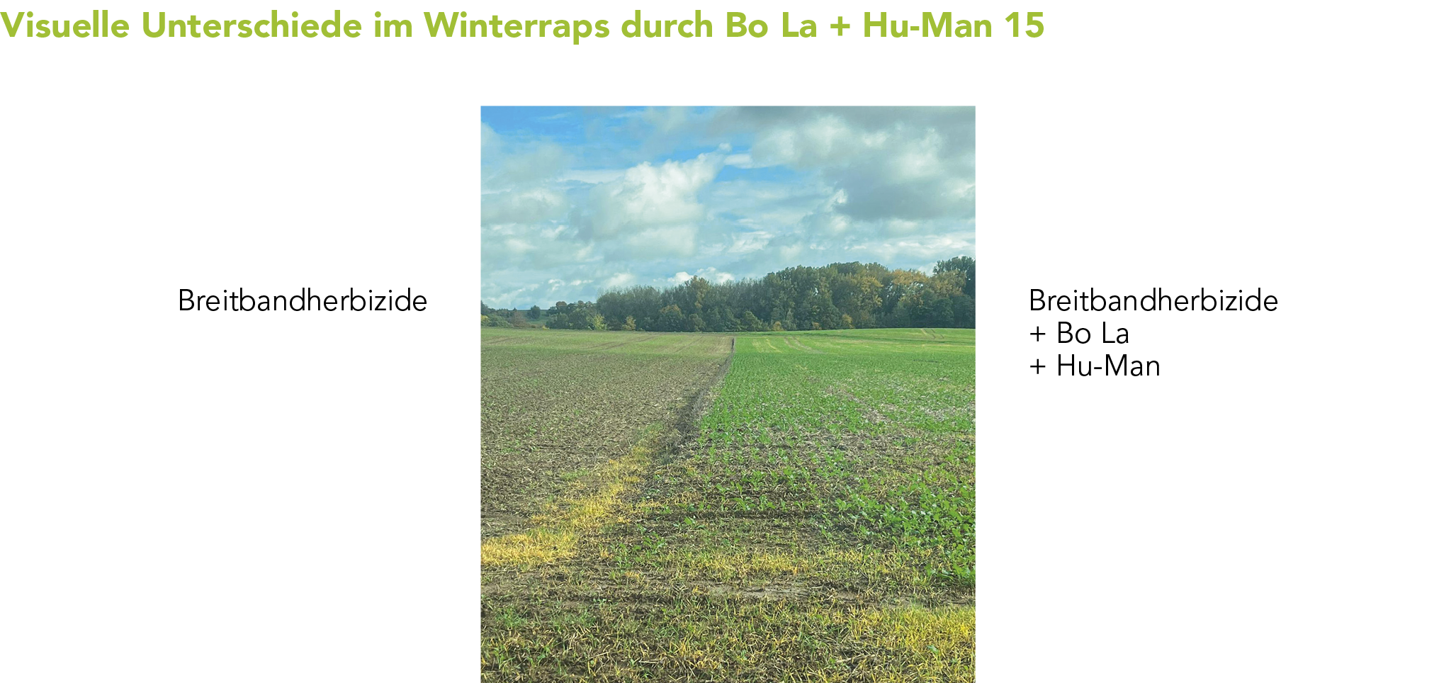 Hu-Man 15 Markenblattdünger