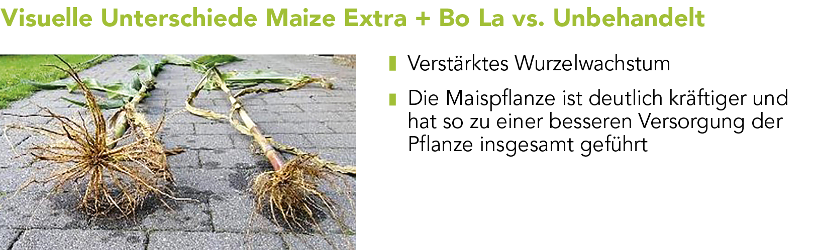 Maize Extra Markenblattdünger