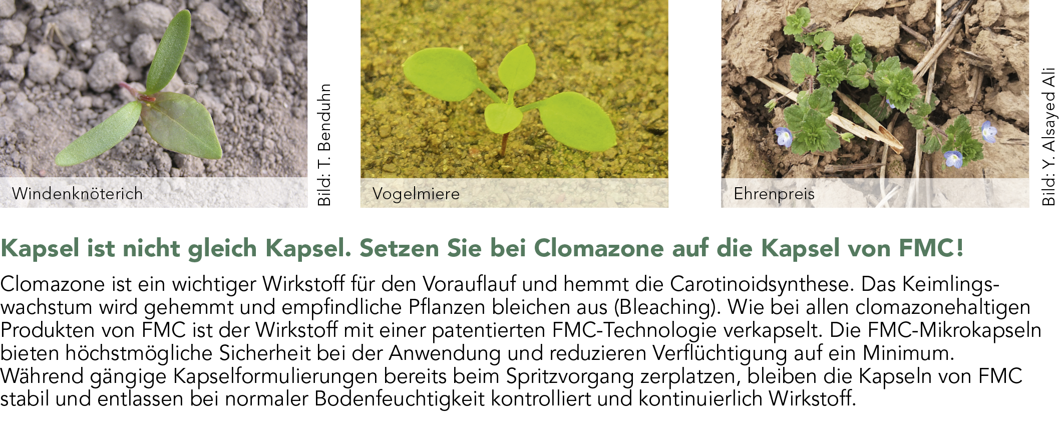 Centium® 36 CS Unkräuter