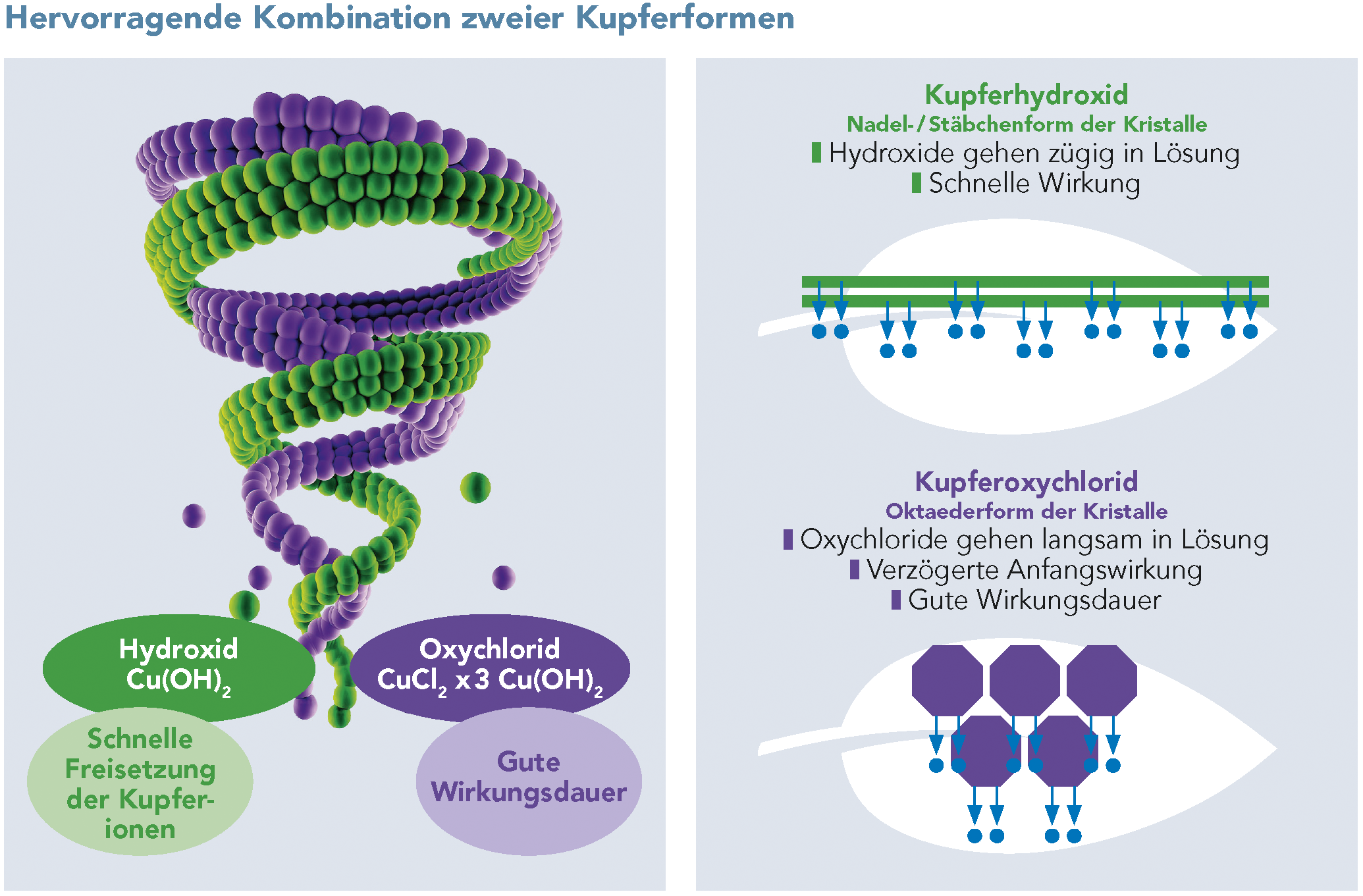 Hervorragende Kombination zweier Kupferformen