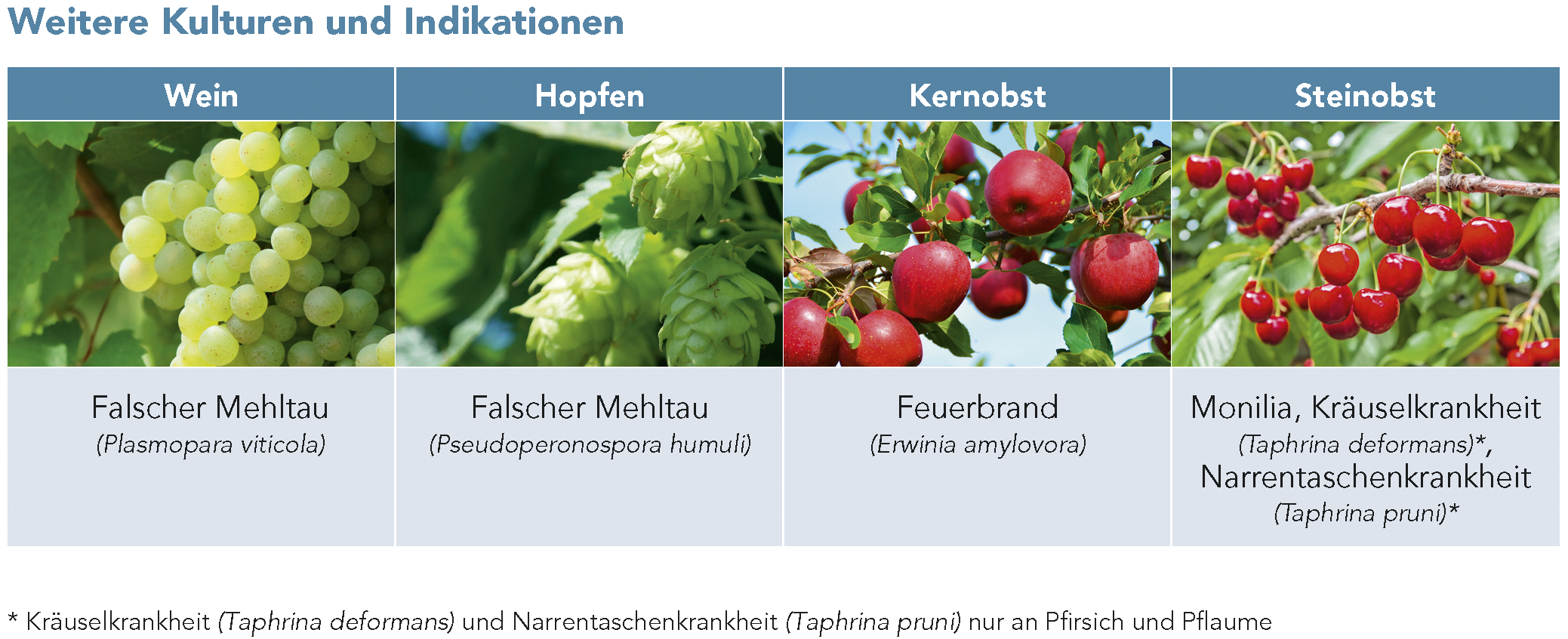 Weitere Kulturen und Indikationen