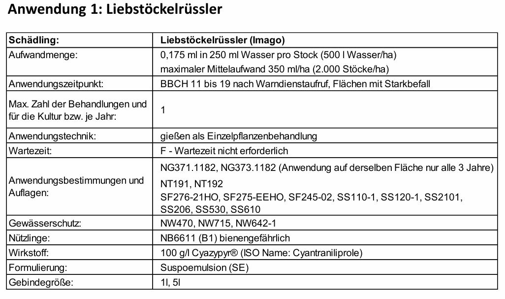 Anwendung 1: Liebstöckelrüssler