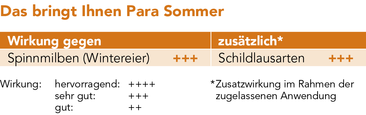 Para Sommer - Wirkung