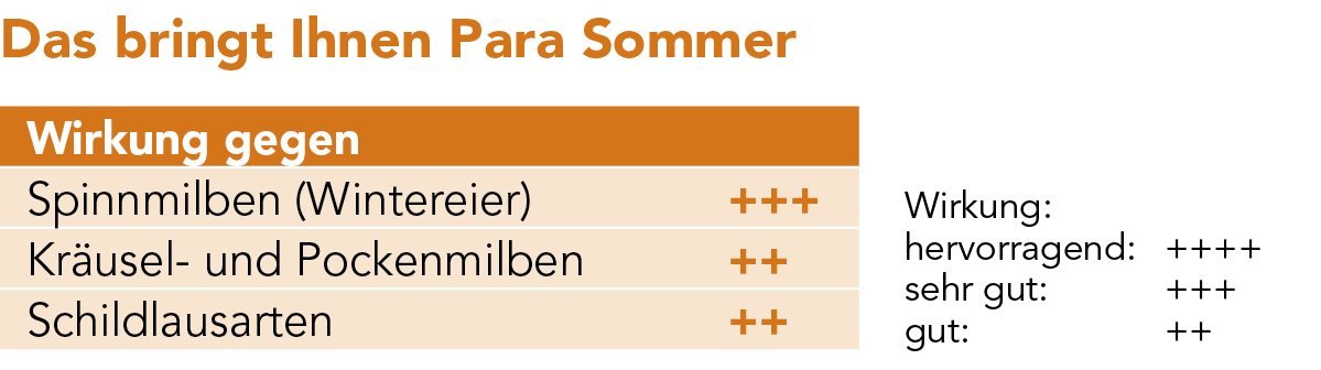 Para Sommer - Wirkung