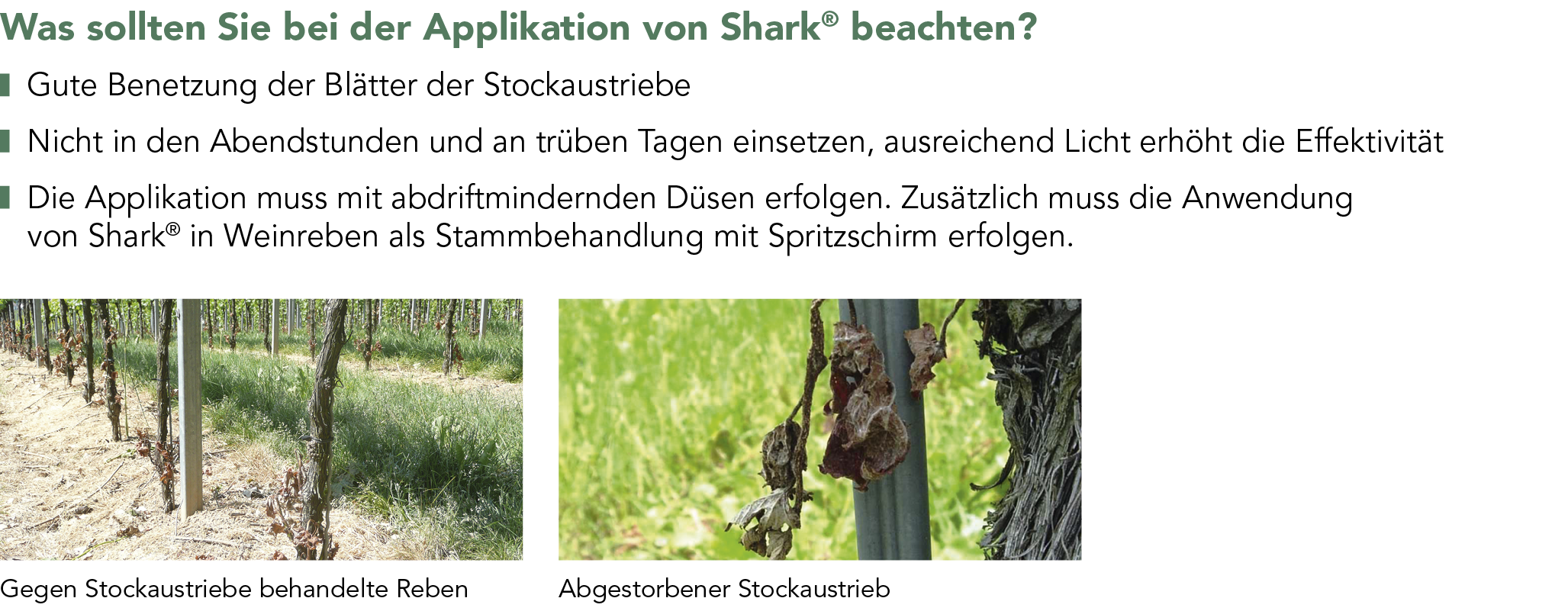 Shark® Anwendung