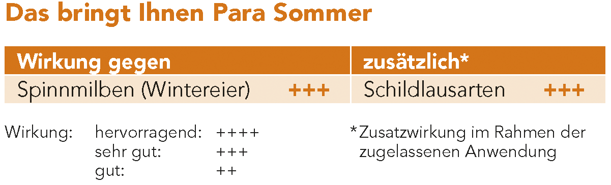 Das bringt Ihnen Para Sommer