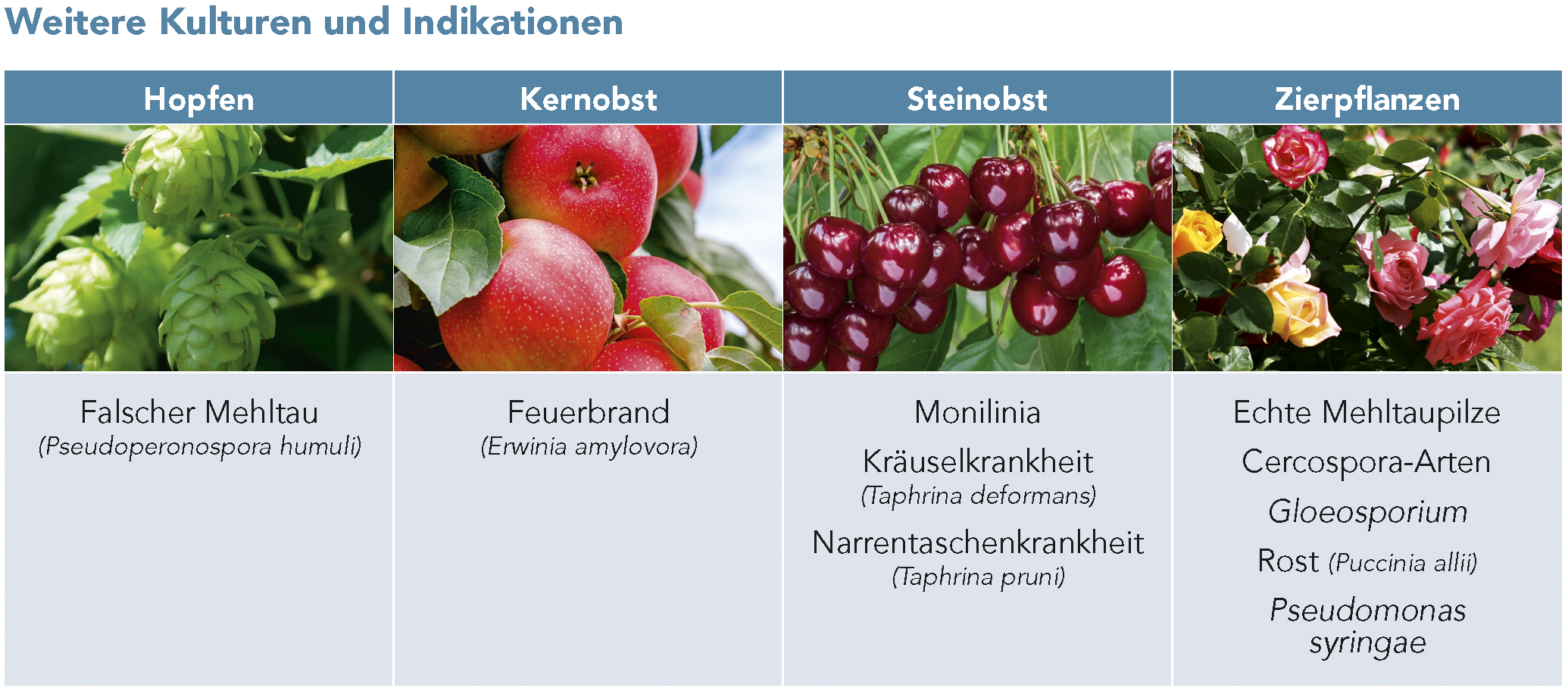 Weitere Kulturen und Indikationen