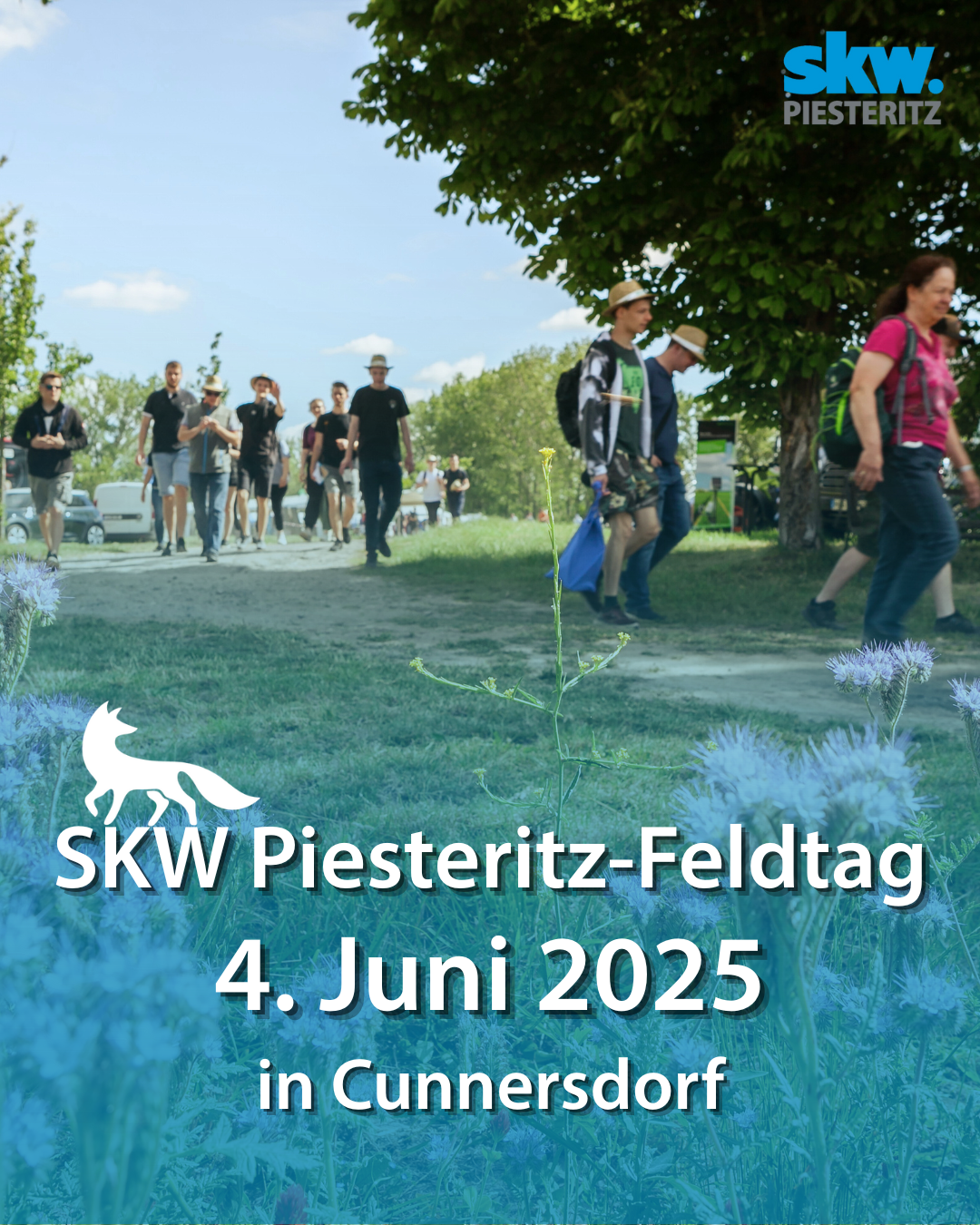  Feldtag Cunnersdorf 04.06.2025 