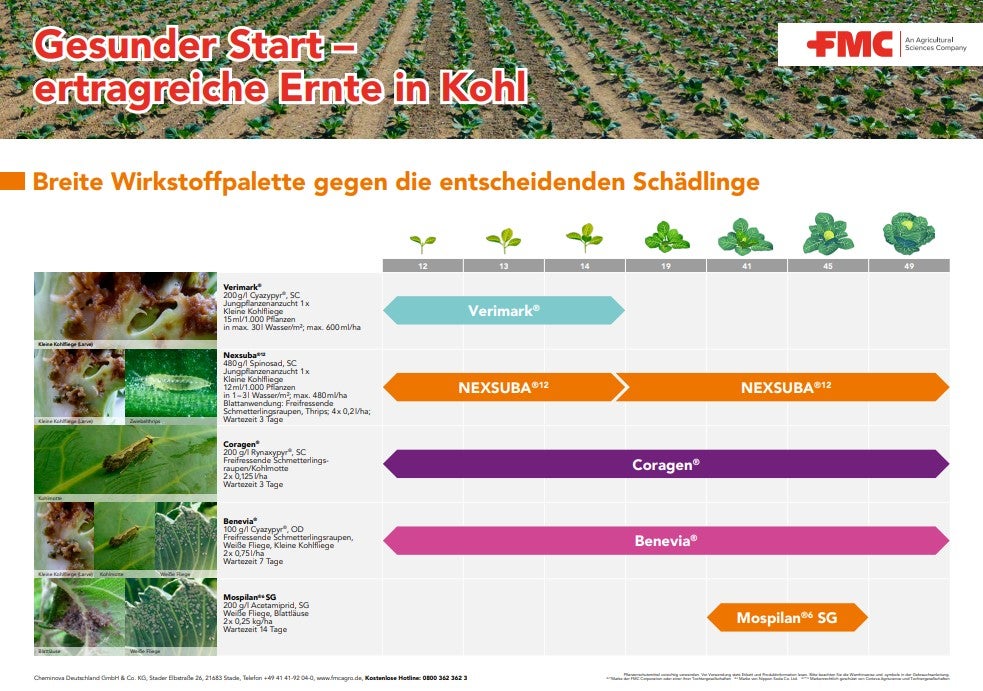 Gesunder Start –  ertragreiche Ernte in Kohl