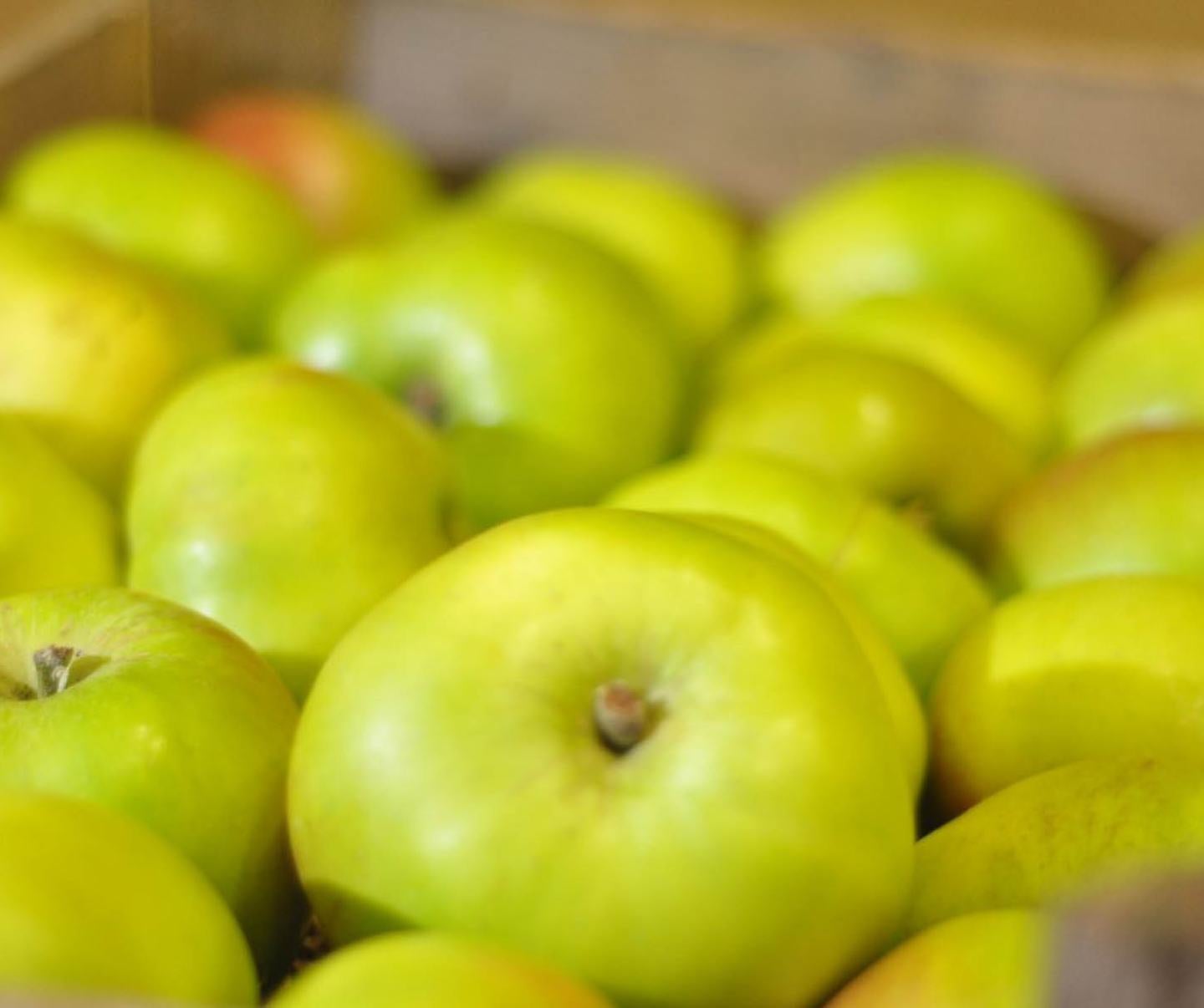 Kiste mit nebeneinanderliegenden grünen Äpfeln, im Hintergrund leicht verschwommen.