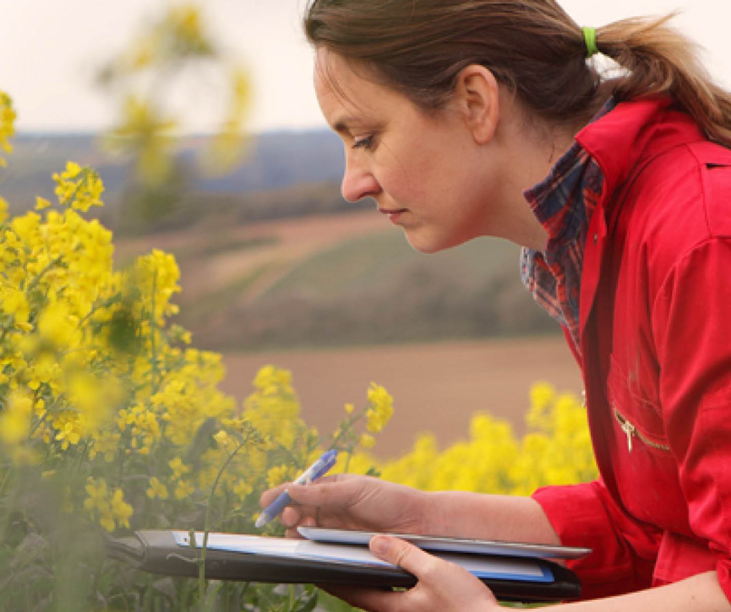 Frau von der Seite mit roter Jacke kniend in blühendem Rapsfeld mit Schreibblock und Stift.