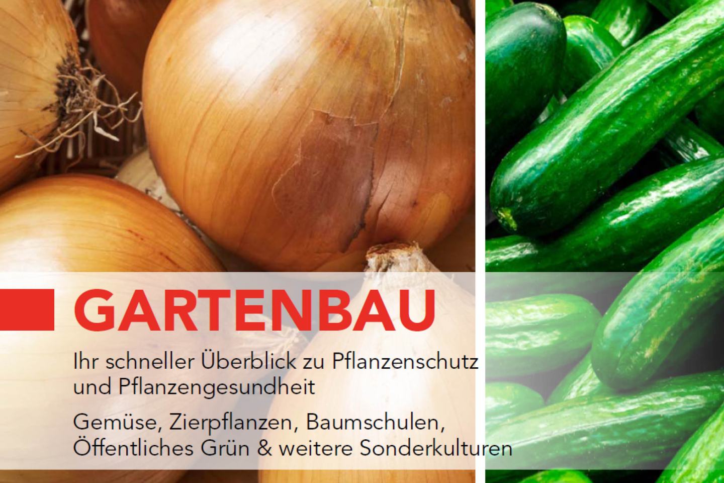 Gartenbauratgeber 2025