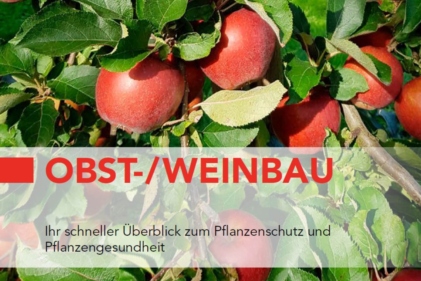 Obst- und Weinbau Ratgeber 2025