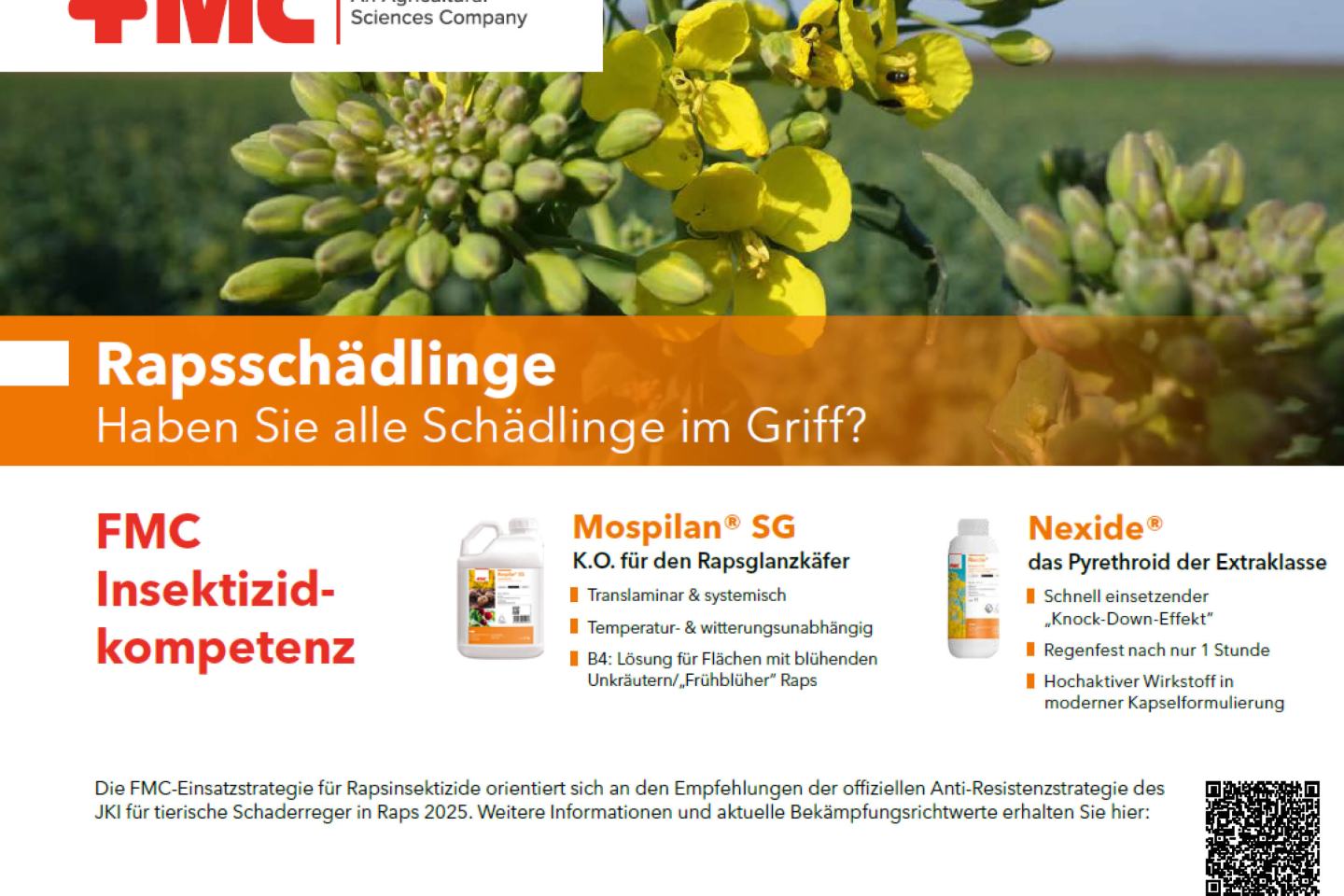 Rapsschädlinge - Haben Sie alle Schädlinge im Griff?
