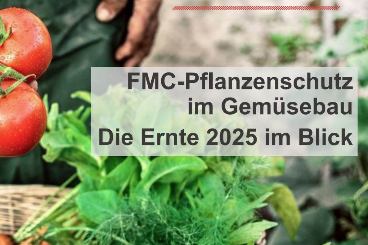 FMC Produkte im Gemüsebau