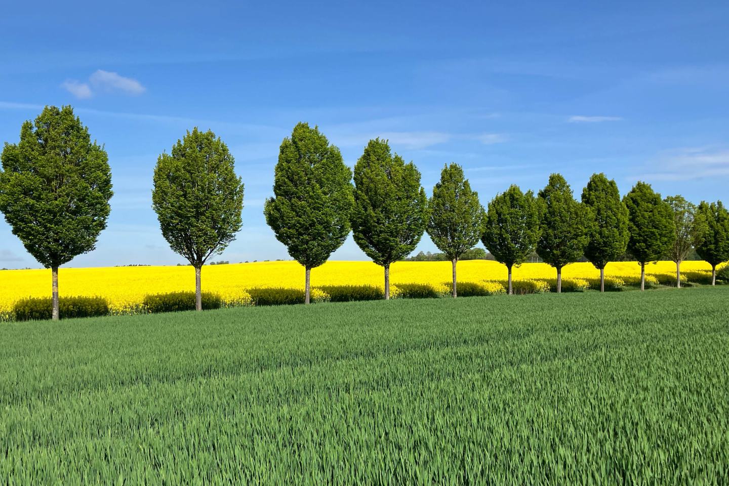 L_WEB_Box Homepage_600x400_Cover Wettbewerb Ackerbau 25