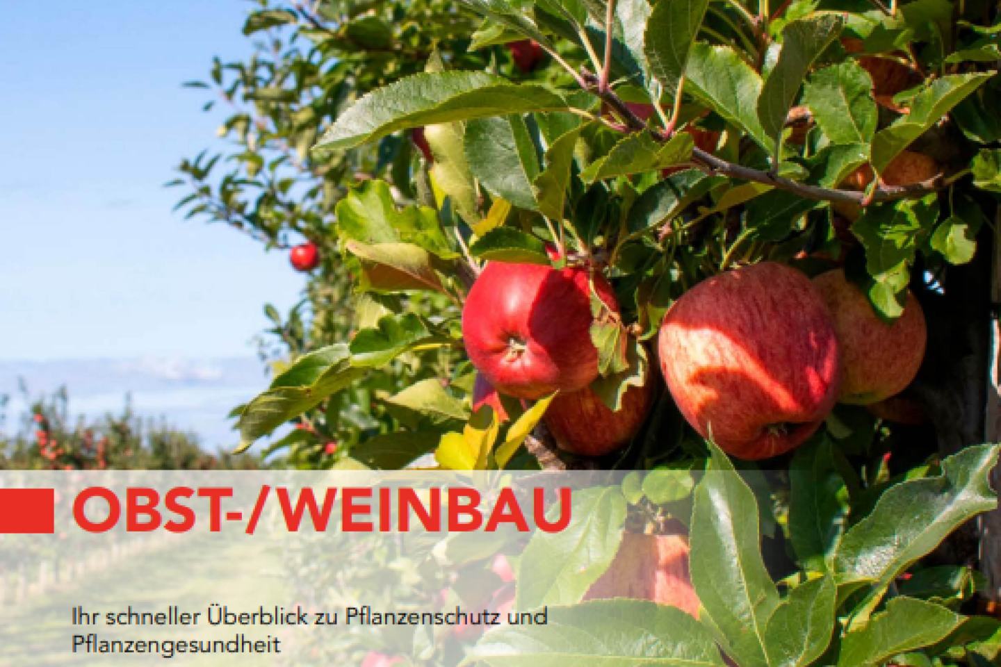 Obst- und Weinbau Ratgeber 2026