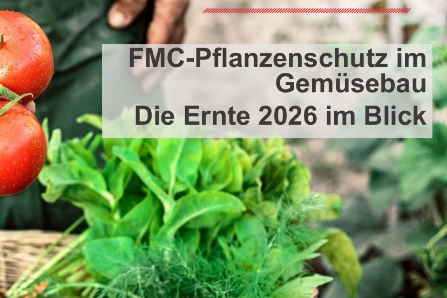 FMC Produkte im Gemüsebau
